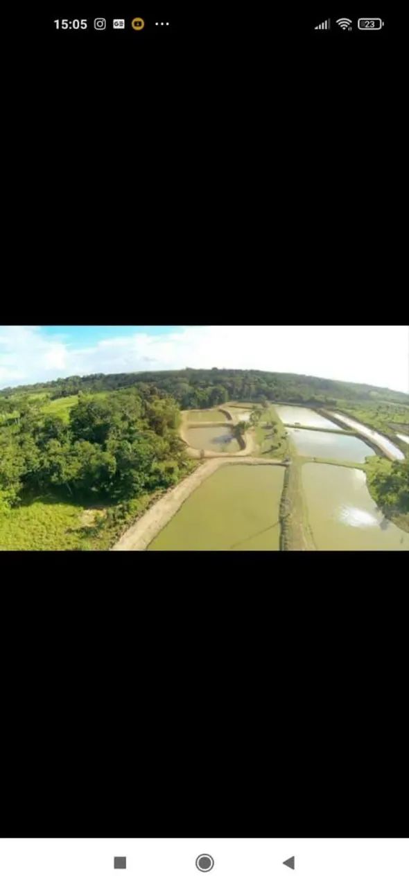 Fazenda 33 hectares dentro da cidade  - Foto 4