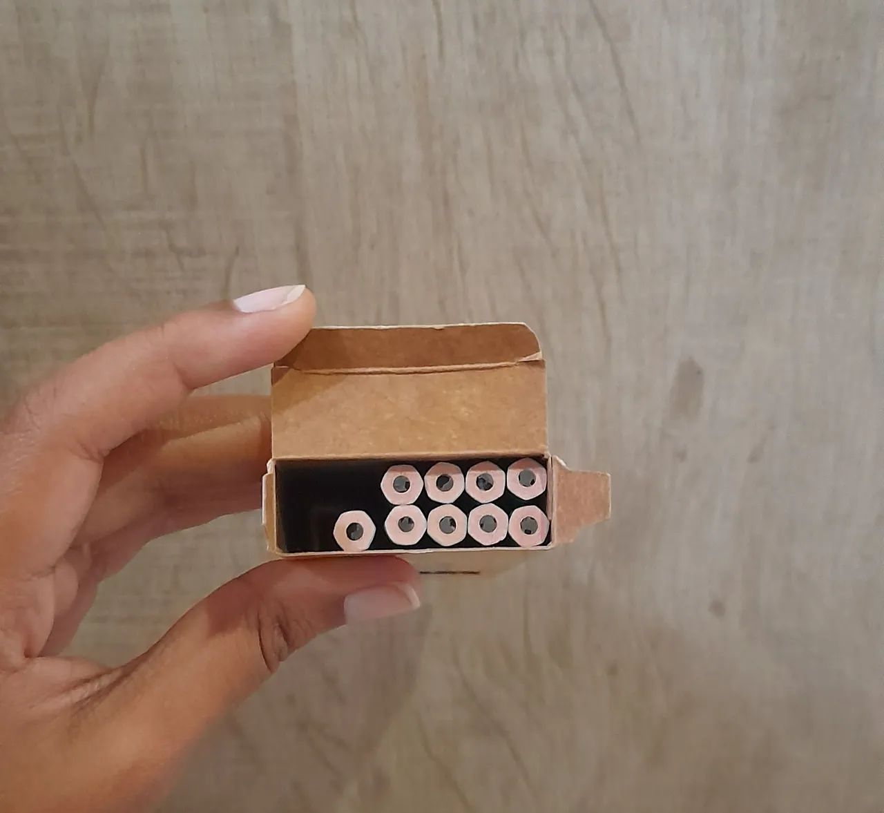 Caixa de Lápis com Ponta Resistente - BIC Evolution64584360132610122