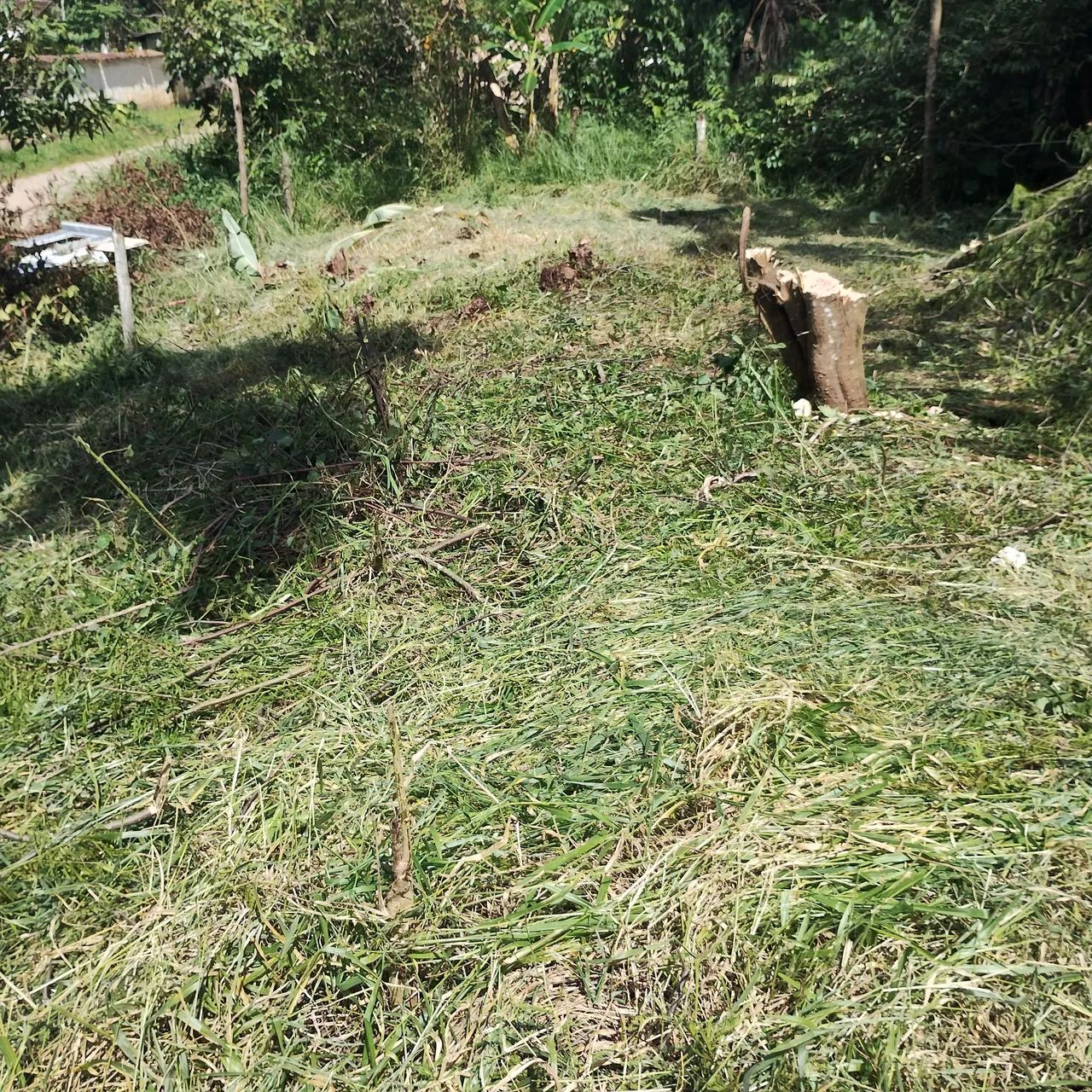 Terreno em Ipiabas 