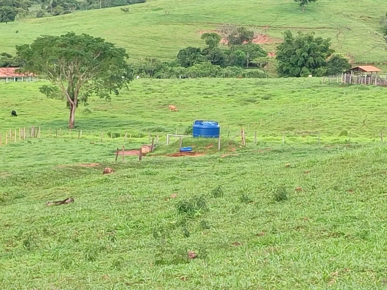 Chácara Completa  2,7 Litros (Jaraguá/GO) - Foto 2
