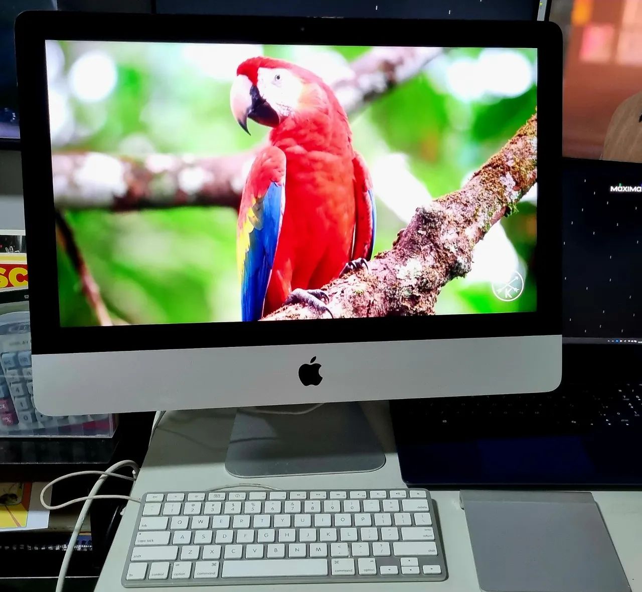 iMac 21,5