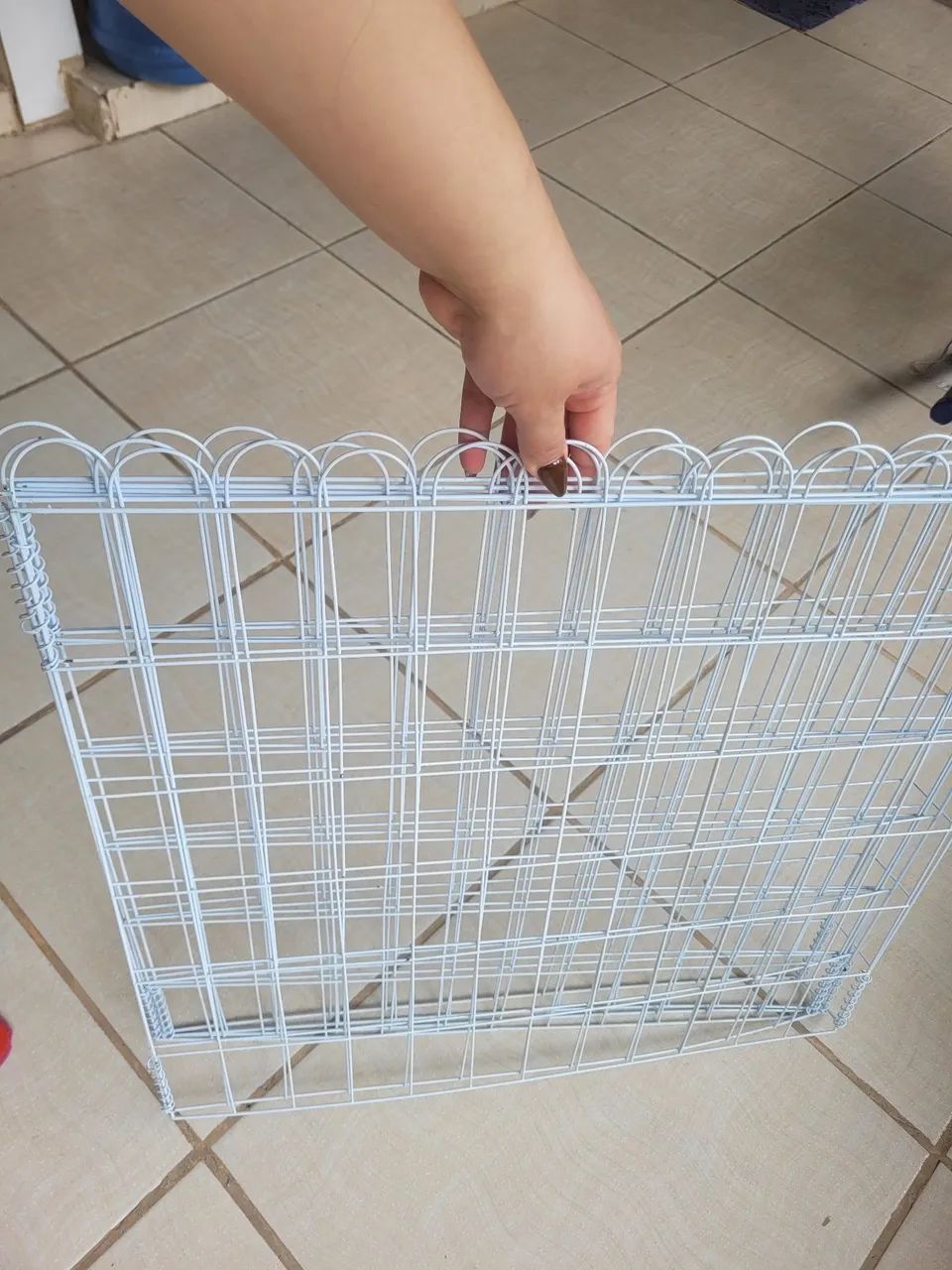 Cerca canina  - Foto 2