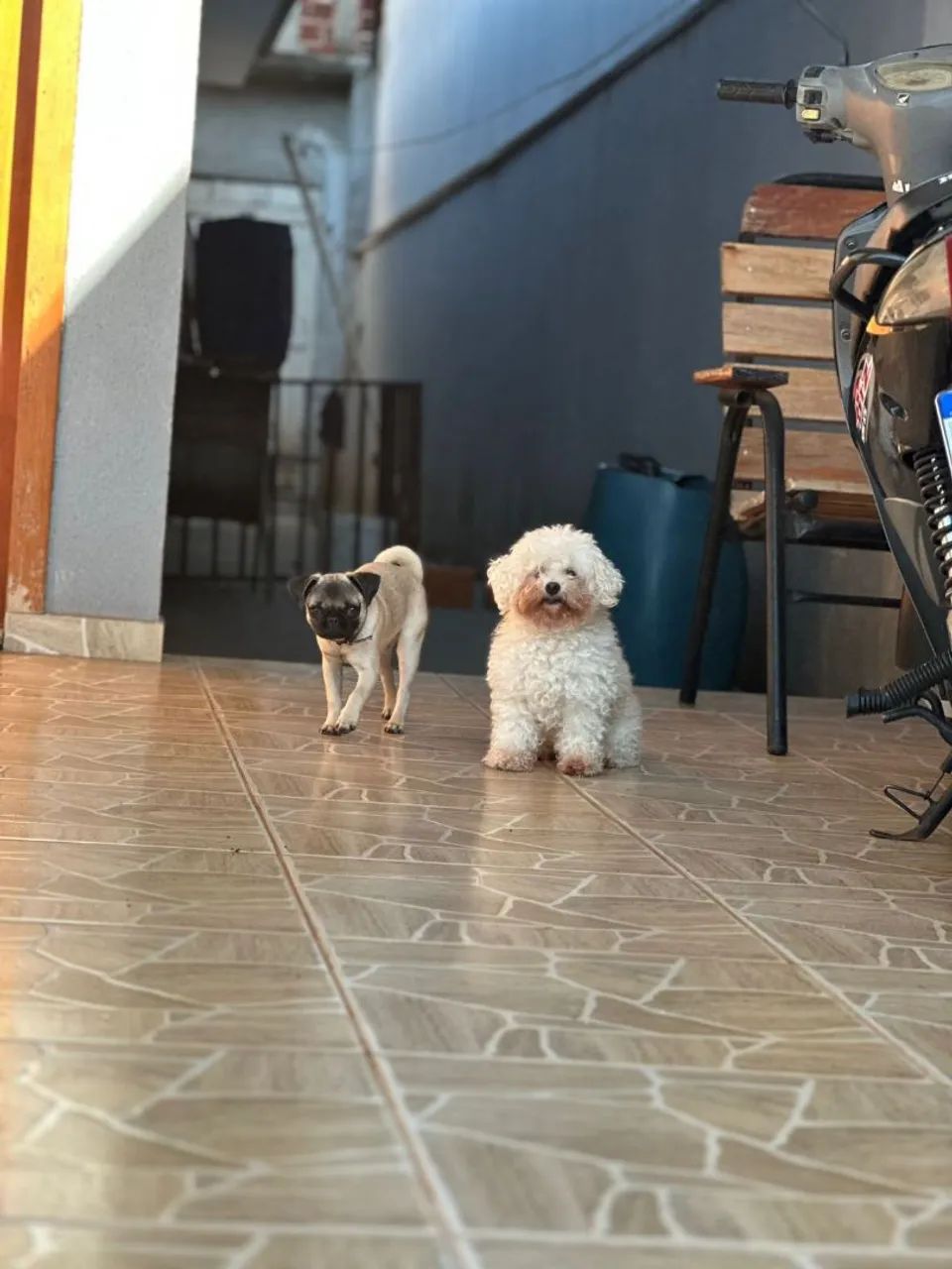 Procura se  - Foto 3