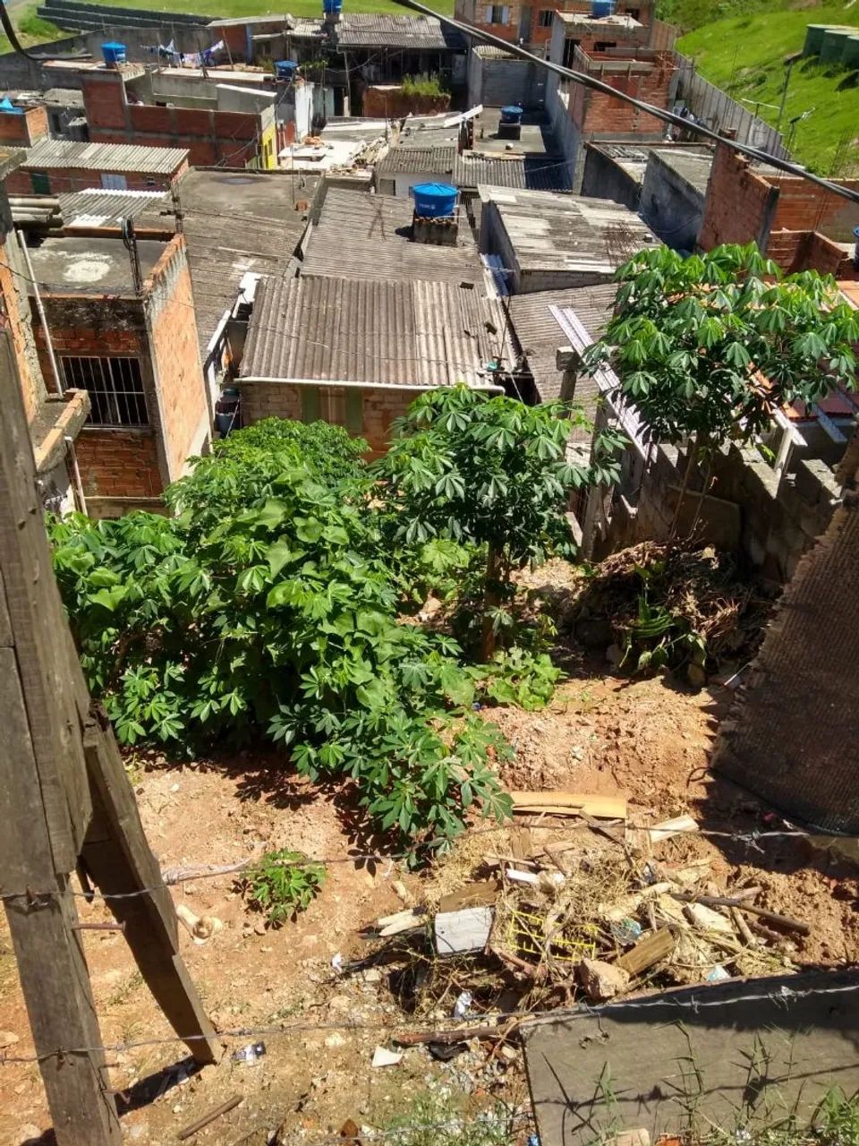Foto - São Paulo - Jardim Laura
