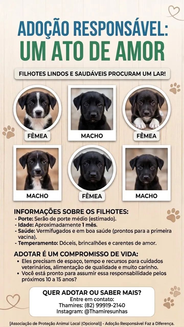 Cachorros 
