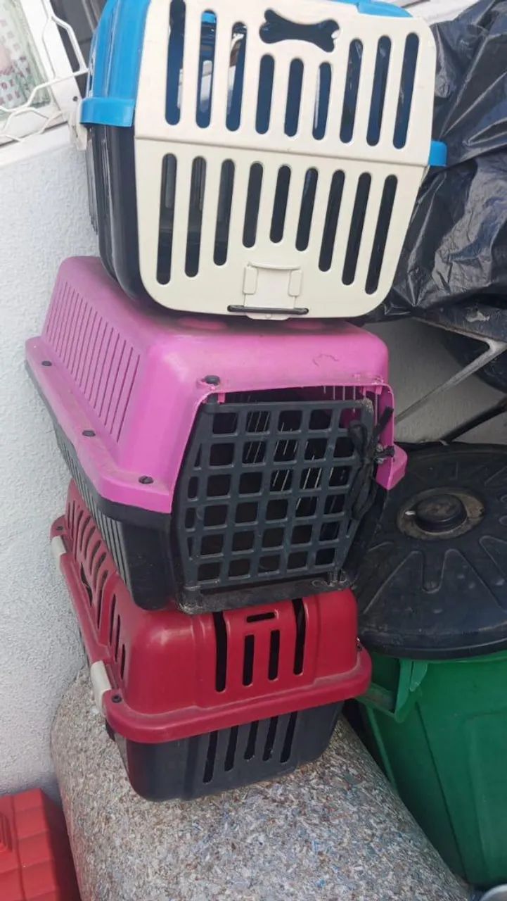 Transporte para pet - Foto 3