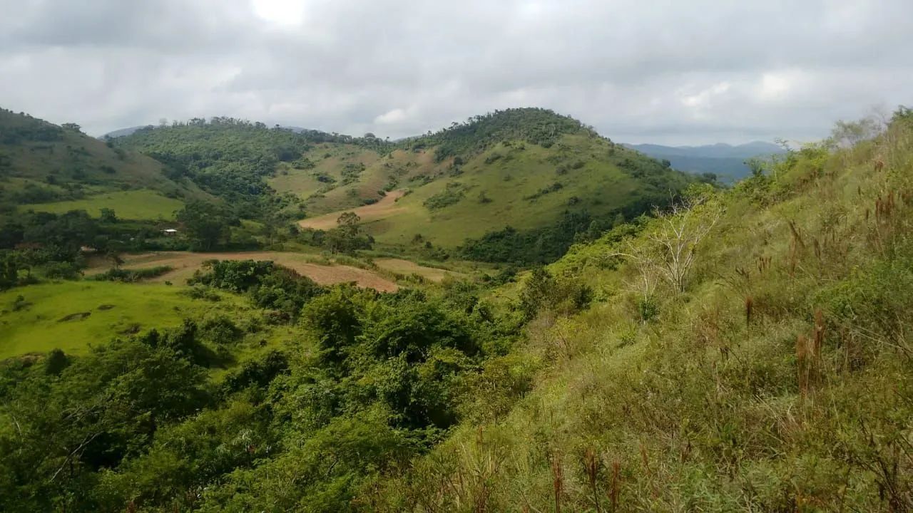 Sitio em Simão Pereira  - Foto 3