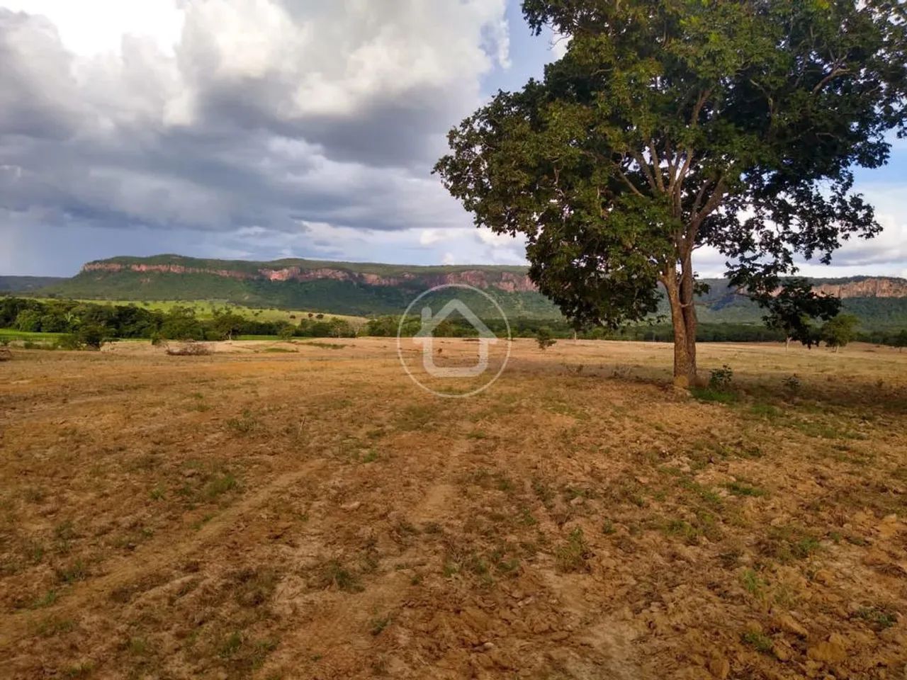FAZENDA BRILHO DA PEDRA RIO VERDE MS - Foto 4