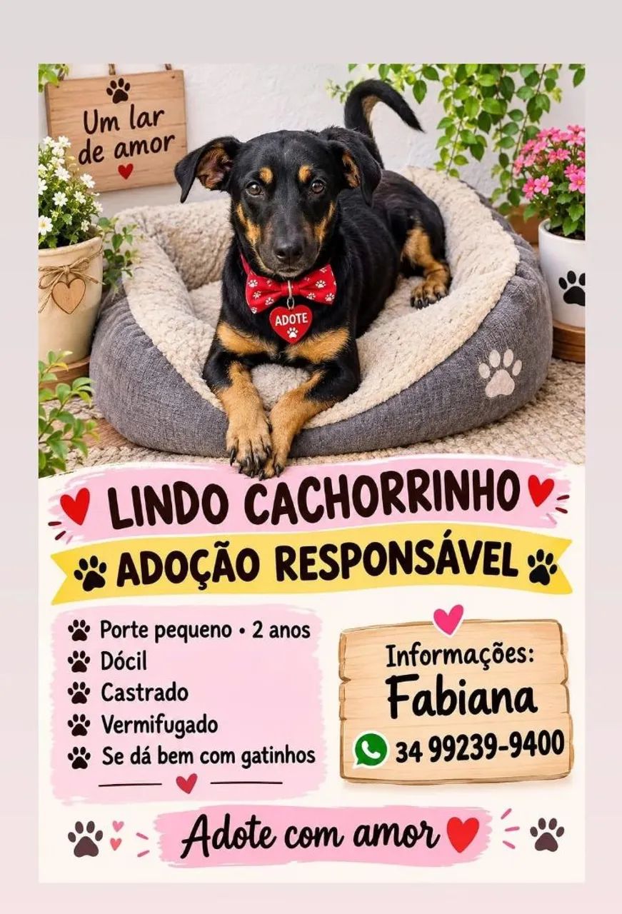 Adoção responsável 