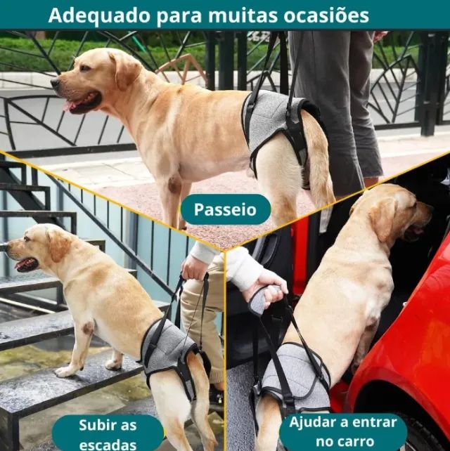 Suporte Auxiliar Com Alça Para Cachorro Cães Cão Displasia - Tam. XG - Foto 3