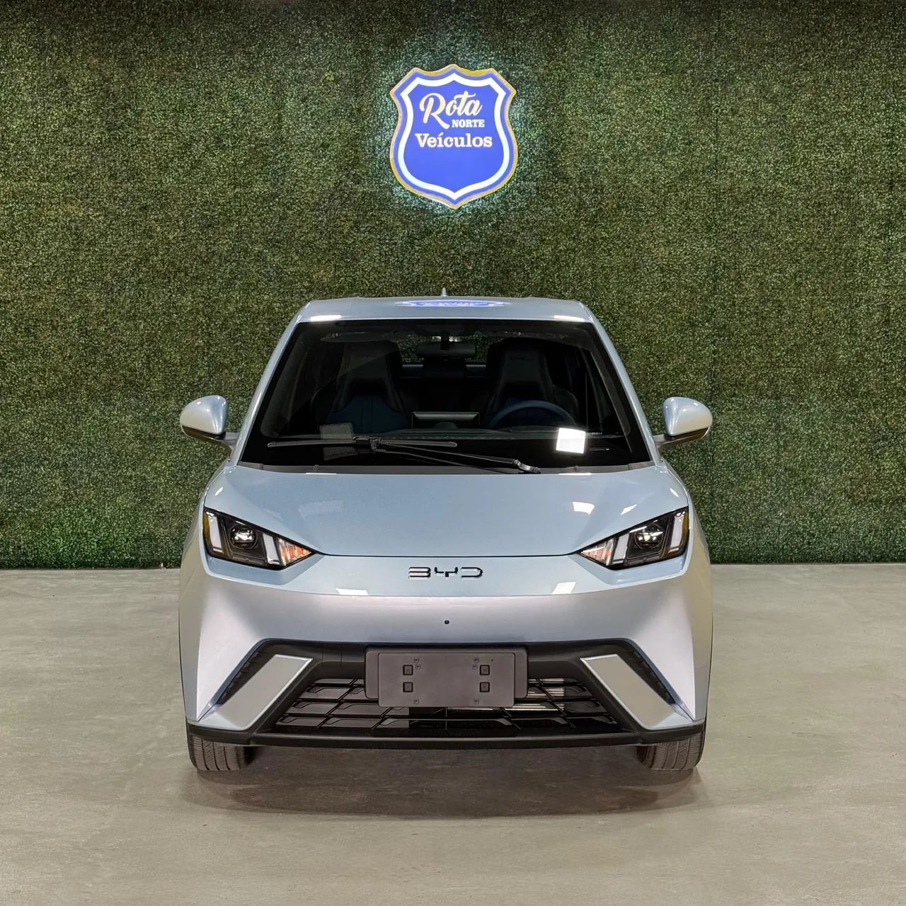 BYD Dolphin Mini (Elétrico) 2027 - Foto 2