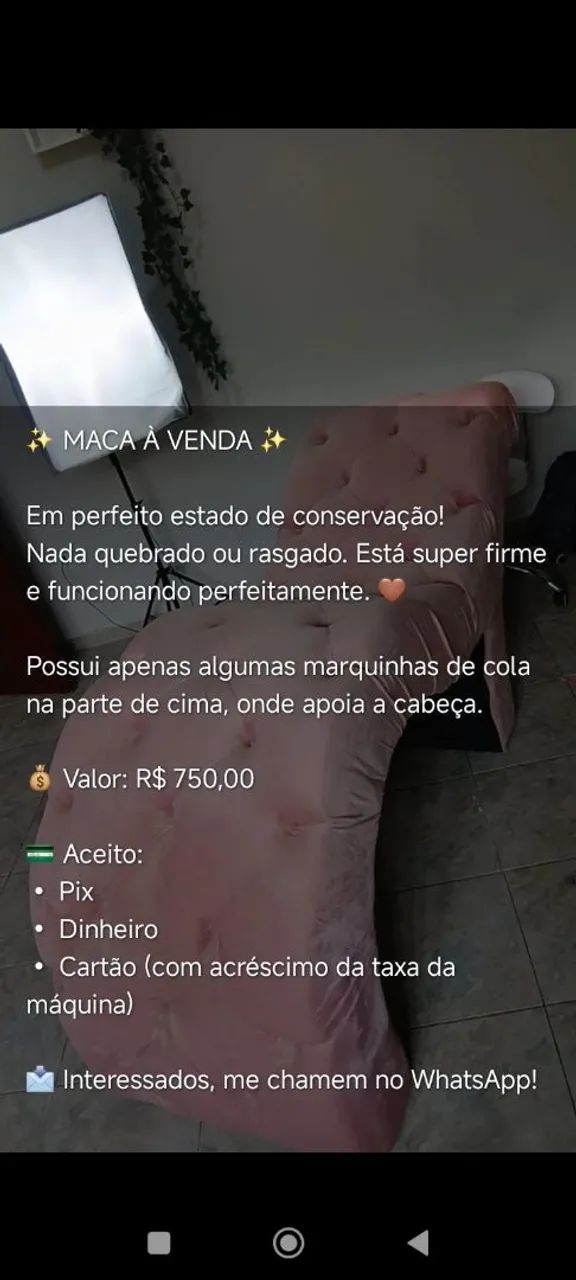Maca  - Foto 2