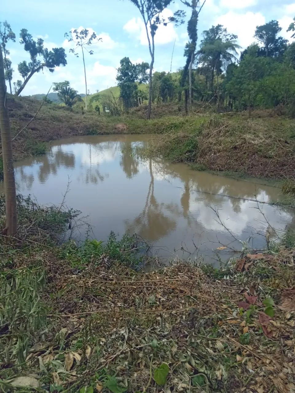 Vendo chácara  - Foto 3