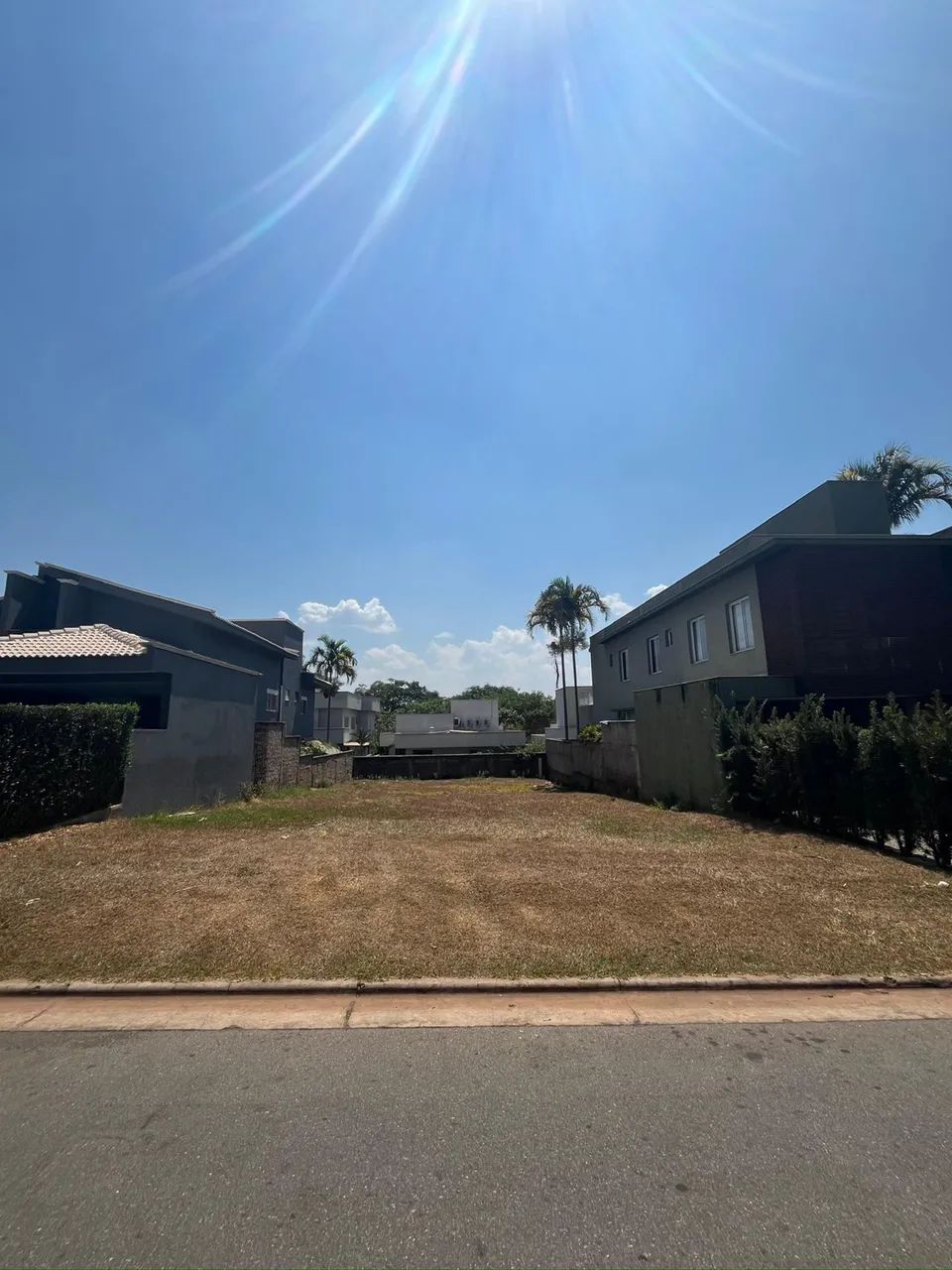 Lote jardins Valência 