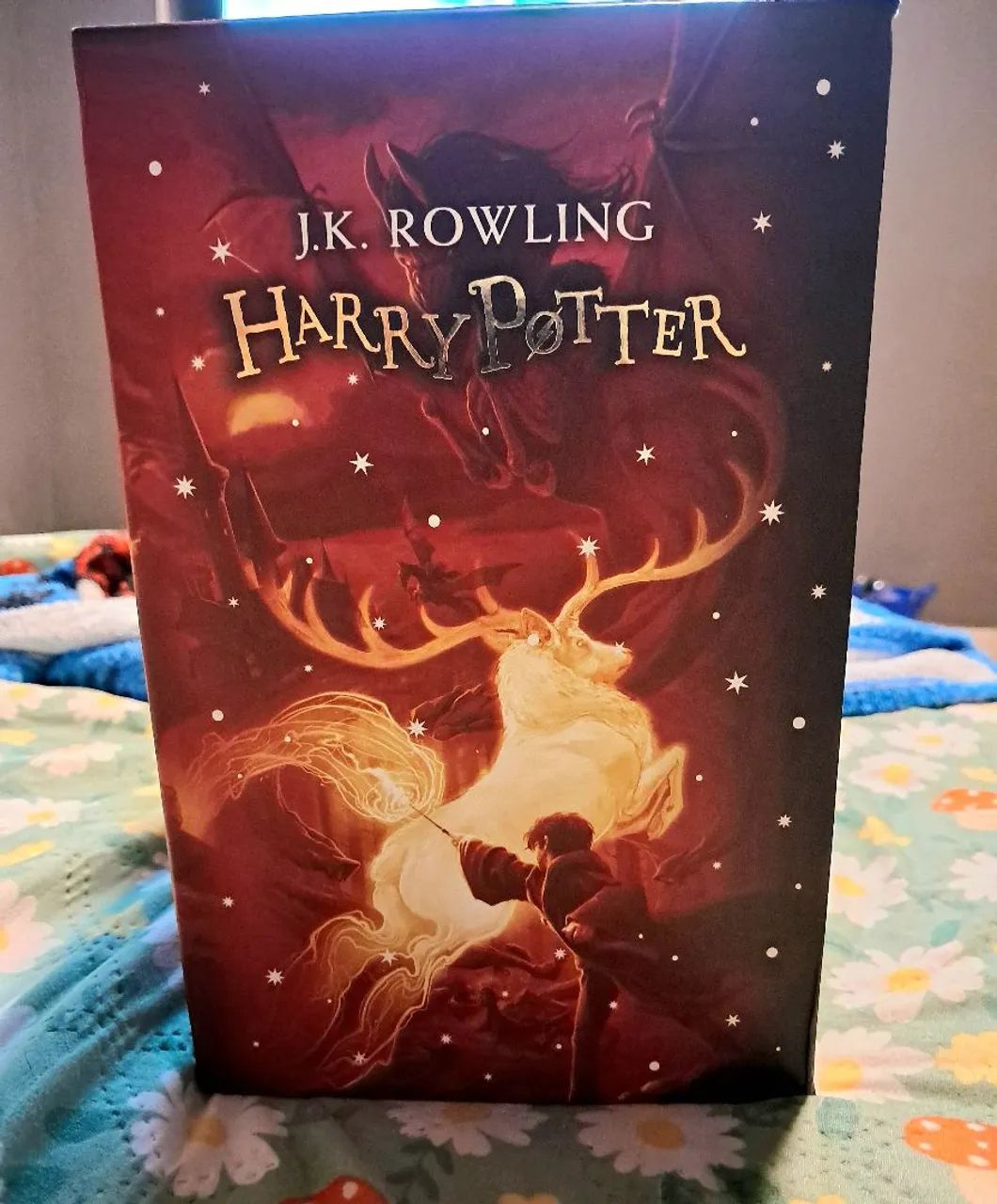 Box de Harry Potter  - Foto 2