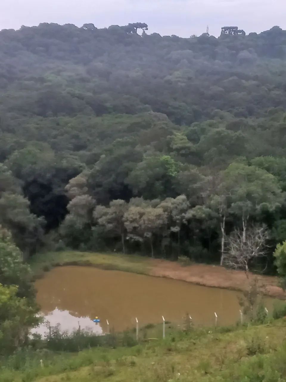 Foto - Campo Magro - 