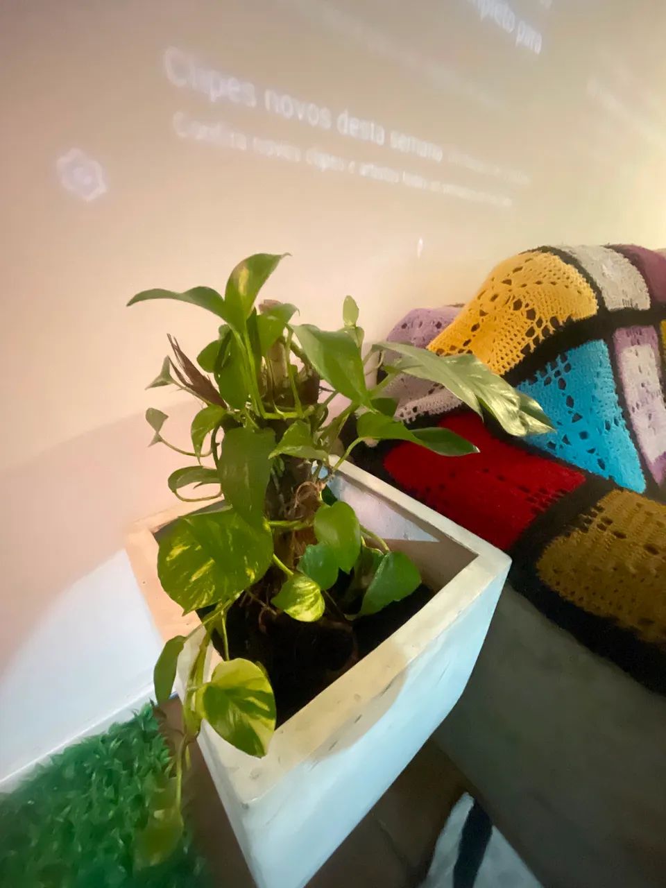 VENDO MÓVEIS  - Foto 4