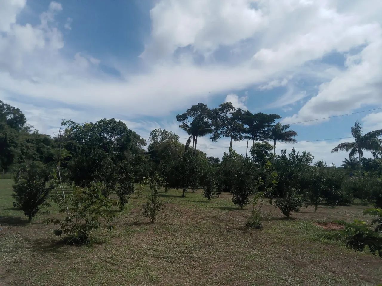 Terreno 200x400 em Mazagão - Foto 5