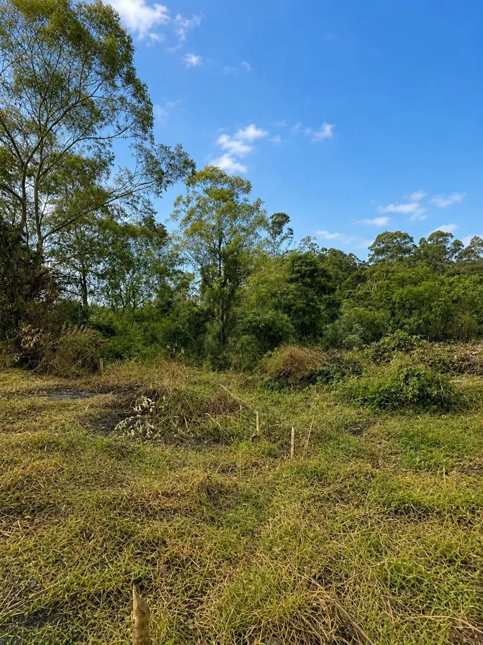 terrenos de 1000 no Interior de SP