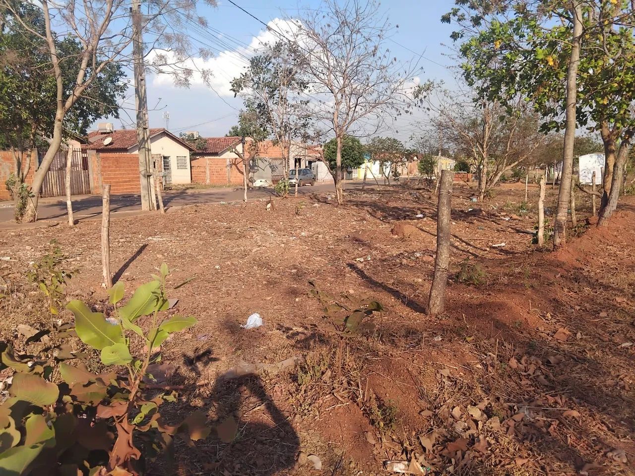 Terreno  - Foto 3