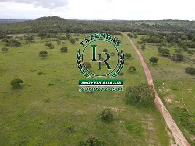 Fazenda 183 hectares, Próximo a Paraiso do Tocantins - Foto 2