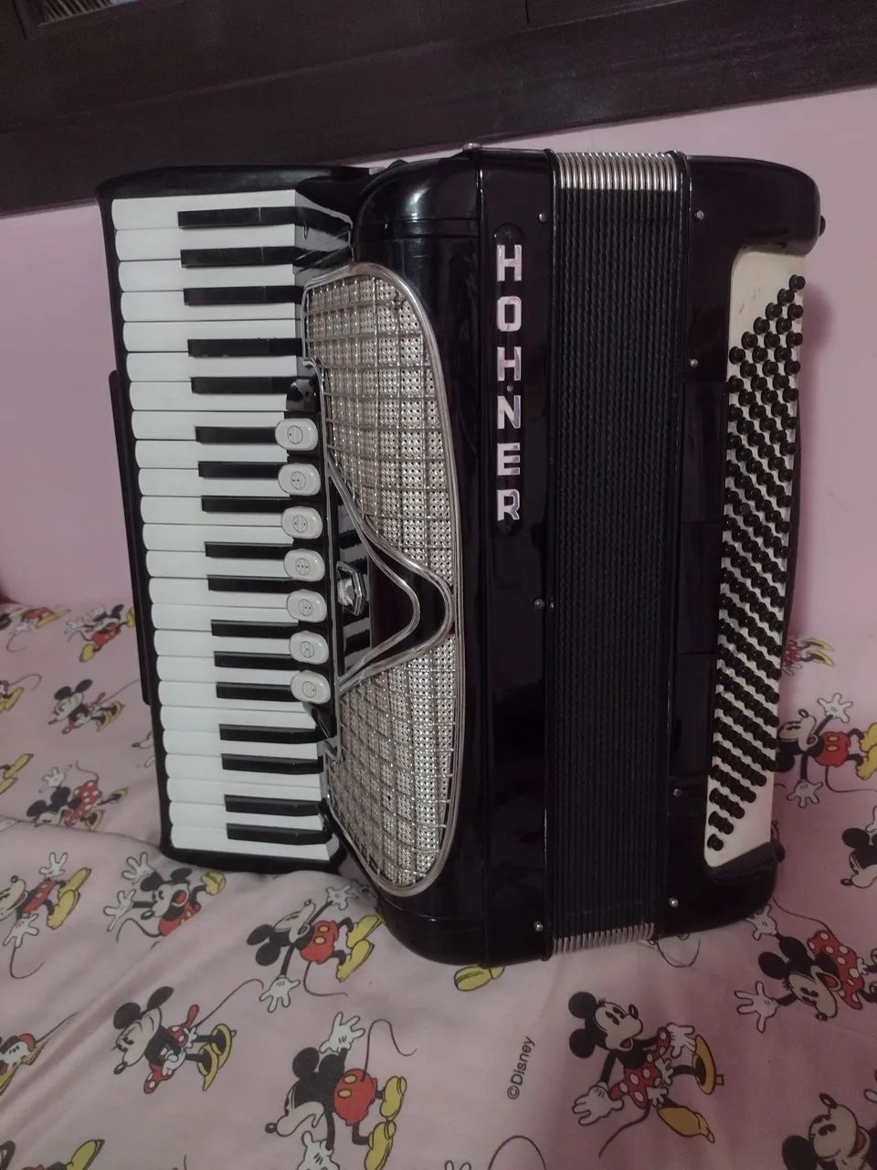 Acordeon 120 baixos 