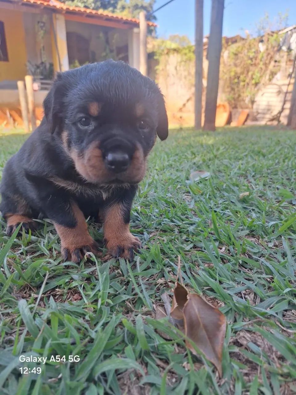 Venda - Foto 3