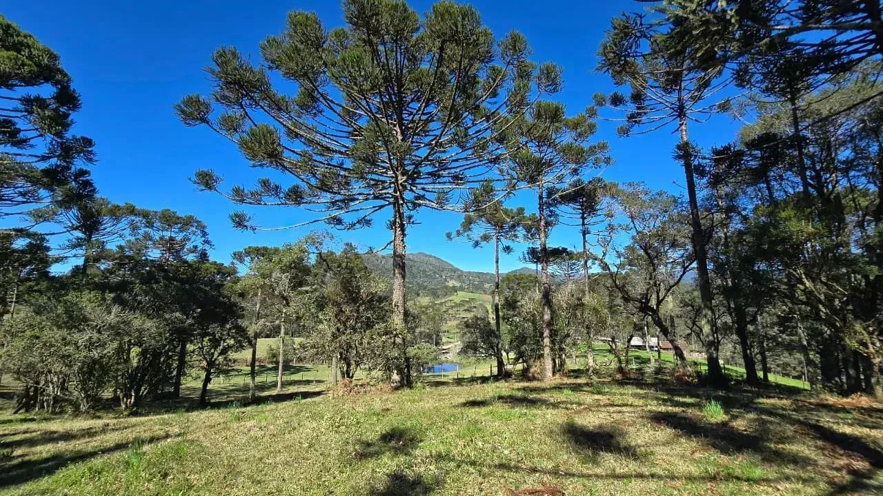 Terreno com casa ao lado da cidade - Foto 5
