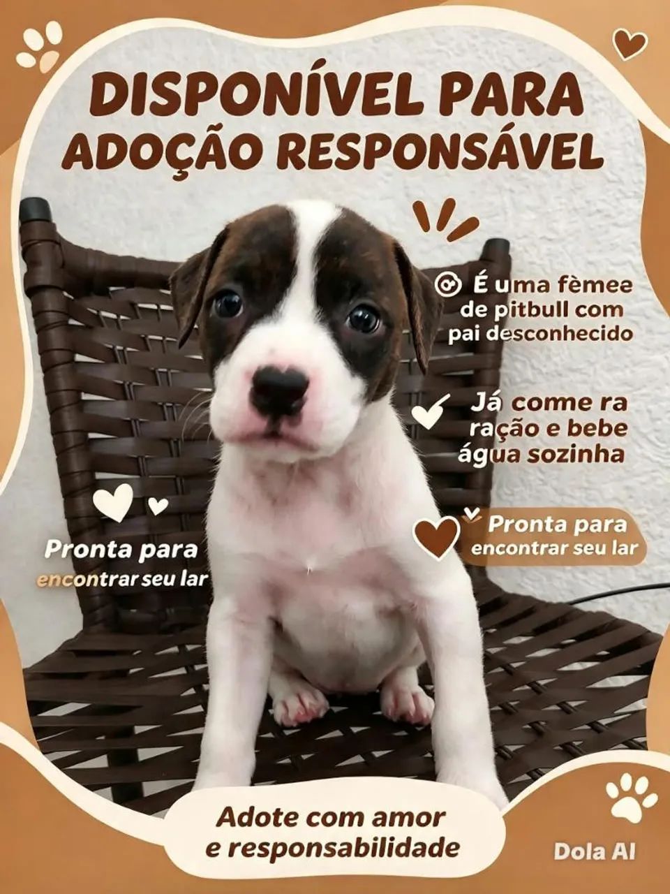 Doação - Foto 4