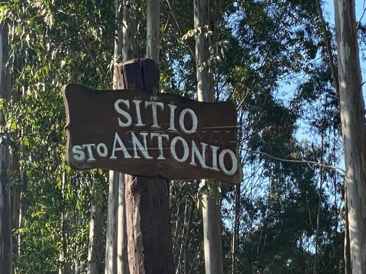 Rural Sítio em Dourado - Foto 4