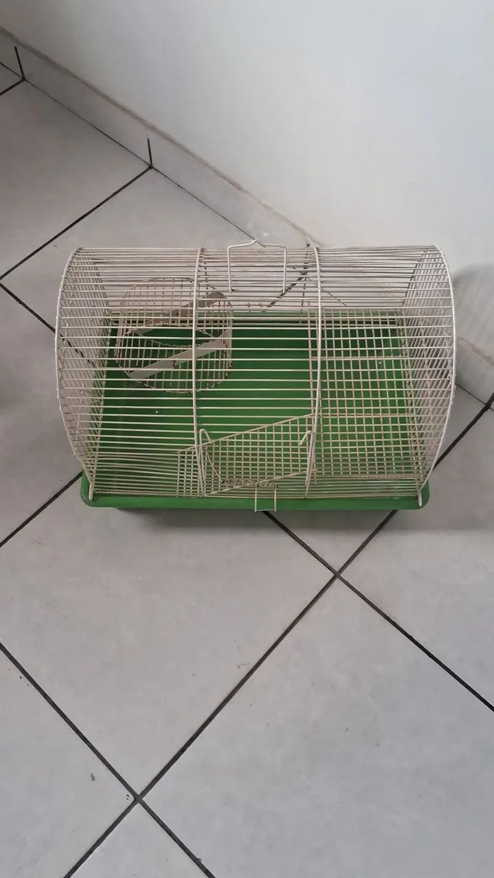 Gaiola ramster cor verde