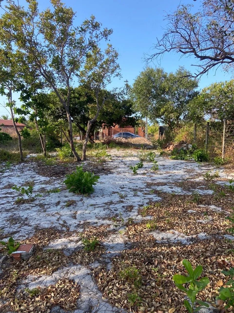 Terreno em Aquiraz  - Foto 2