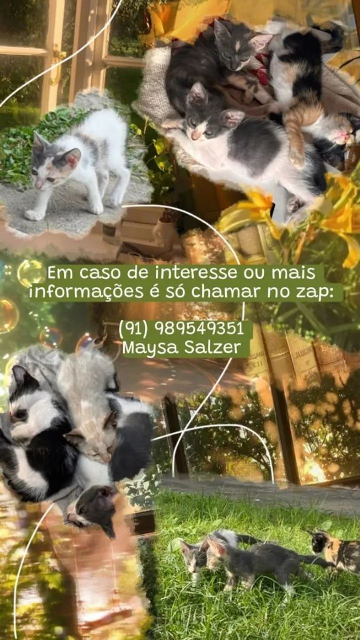 Doa-se. - Foto 4