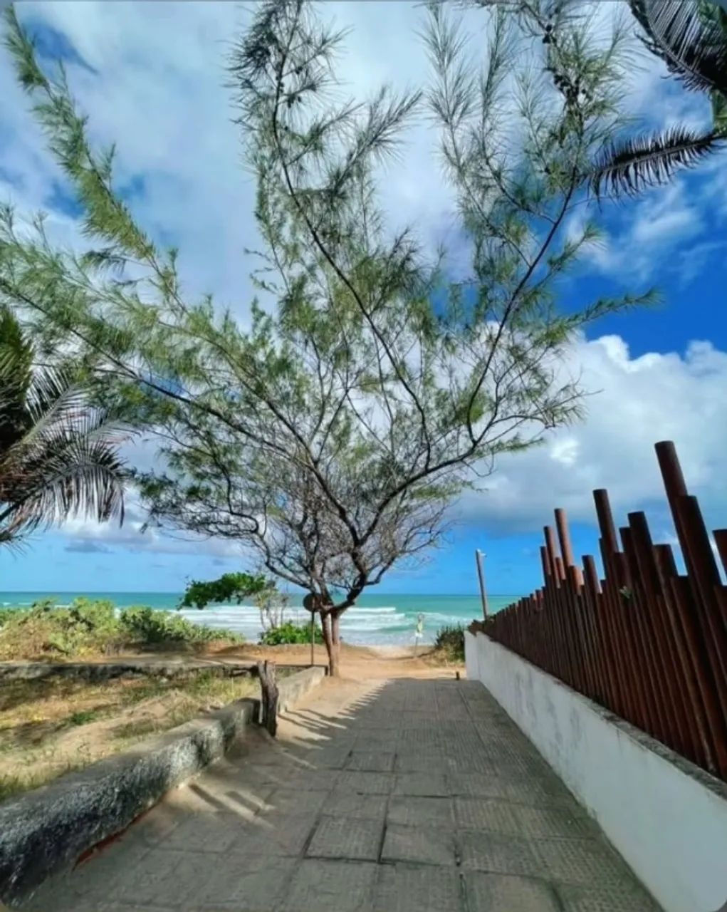 Cupe Premium / Porto de Galinhas  - Foto 2