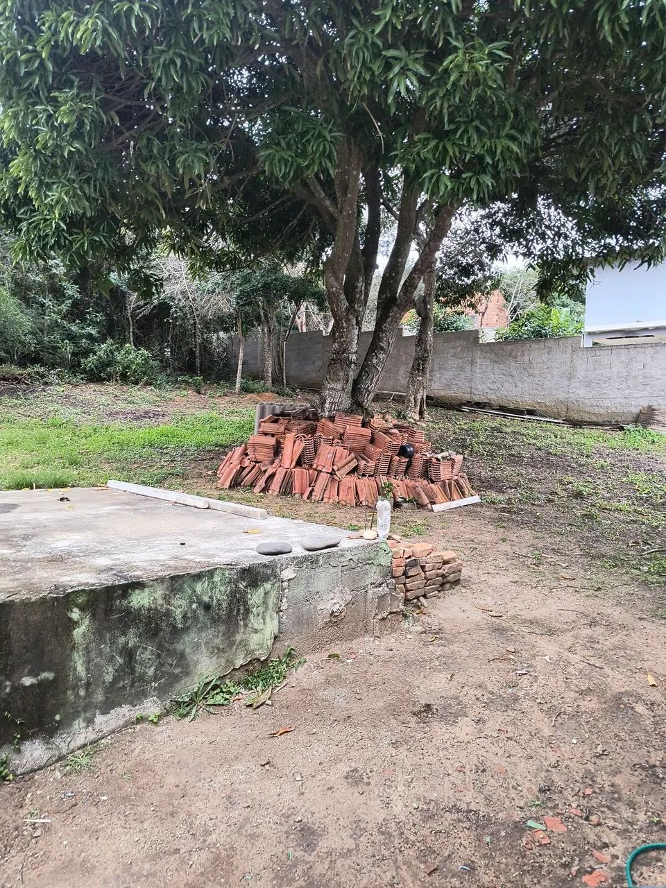 Telha Portuguesa  - Foto 3
