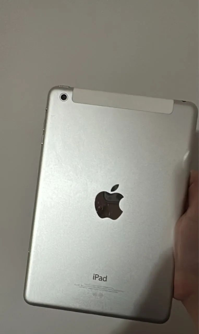 iPad mini 1