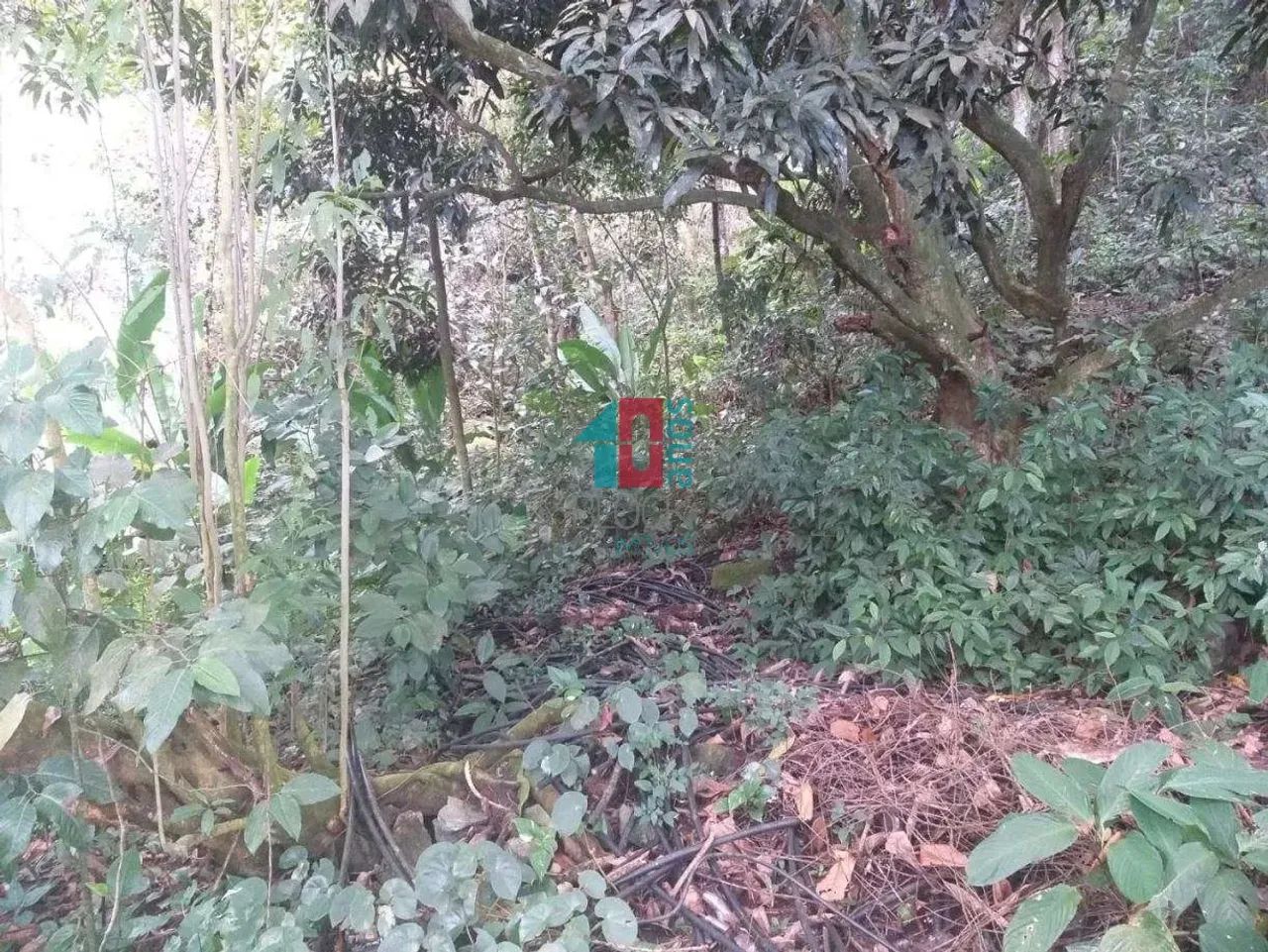 Vargem Pequena | Terreno - Foto 5