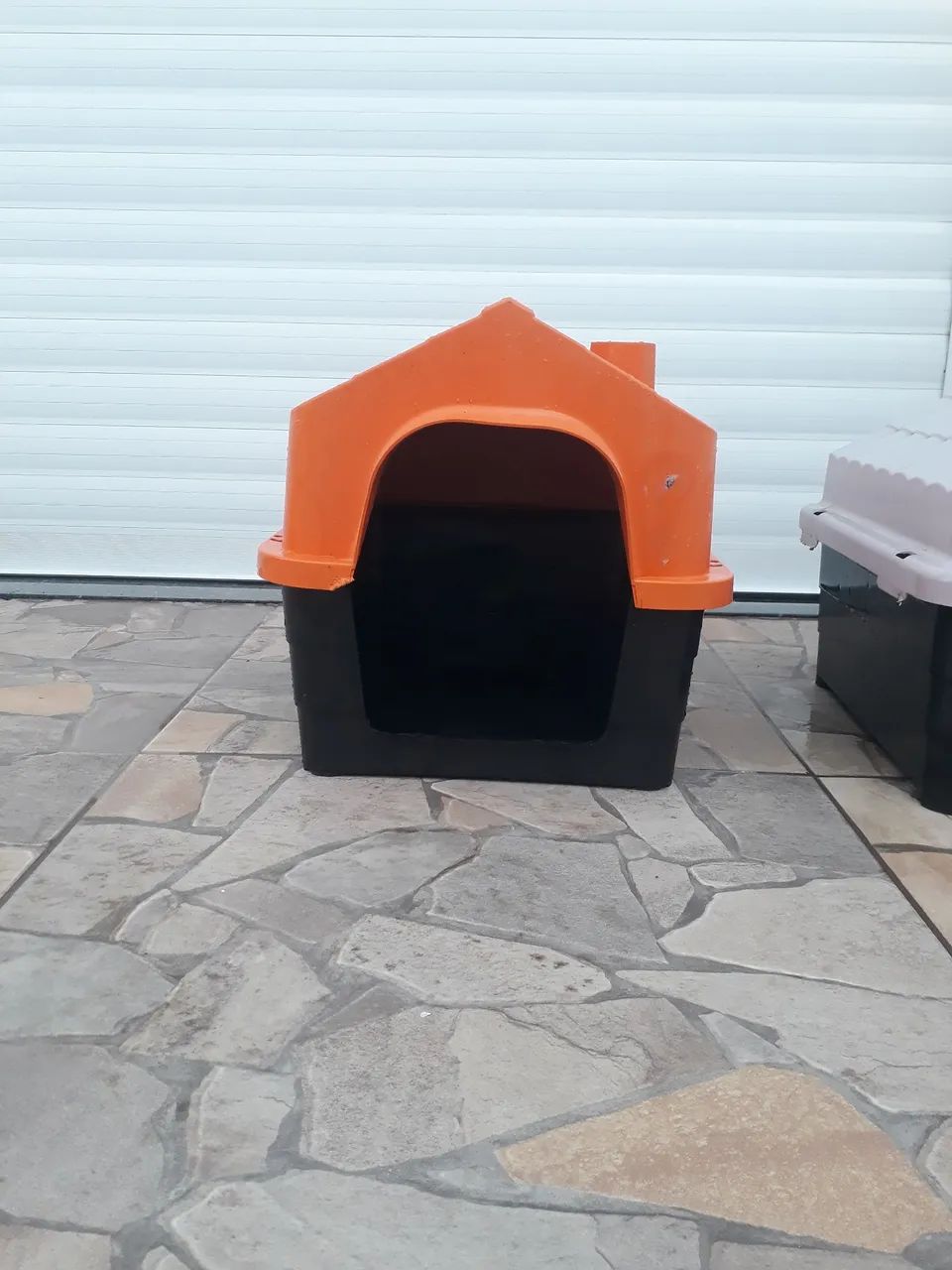 Cachorro casinha n úmero 2  - Foto 2