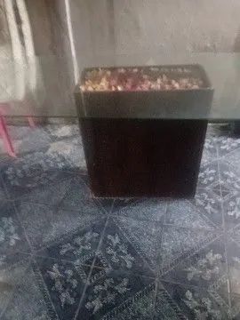 Mesa de jantar de vidro 