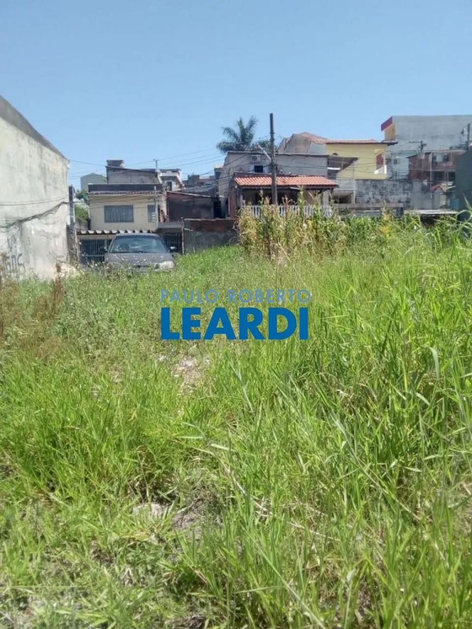 AREA - CANGAÍBA - SP