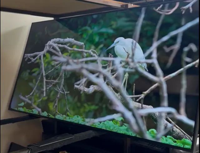 Smart tv 70 polegadas LG 
