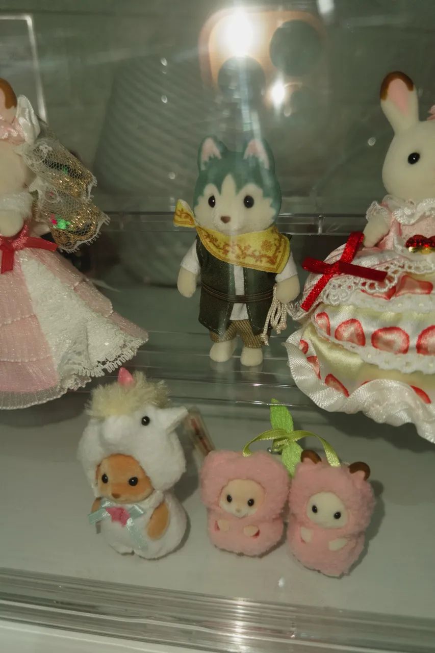 Mini coleção sylvanian + acrílico  - Foto 3