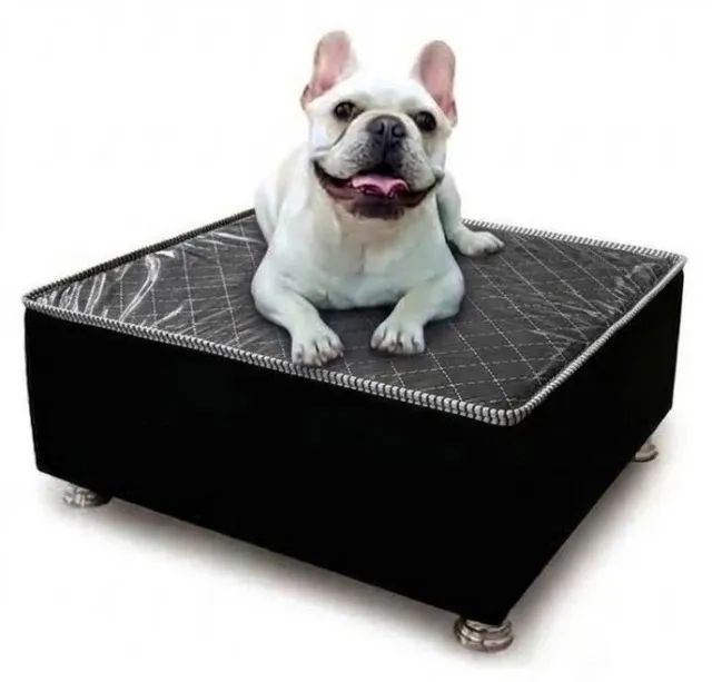 cama box para pets