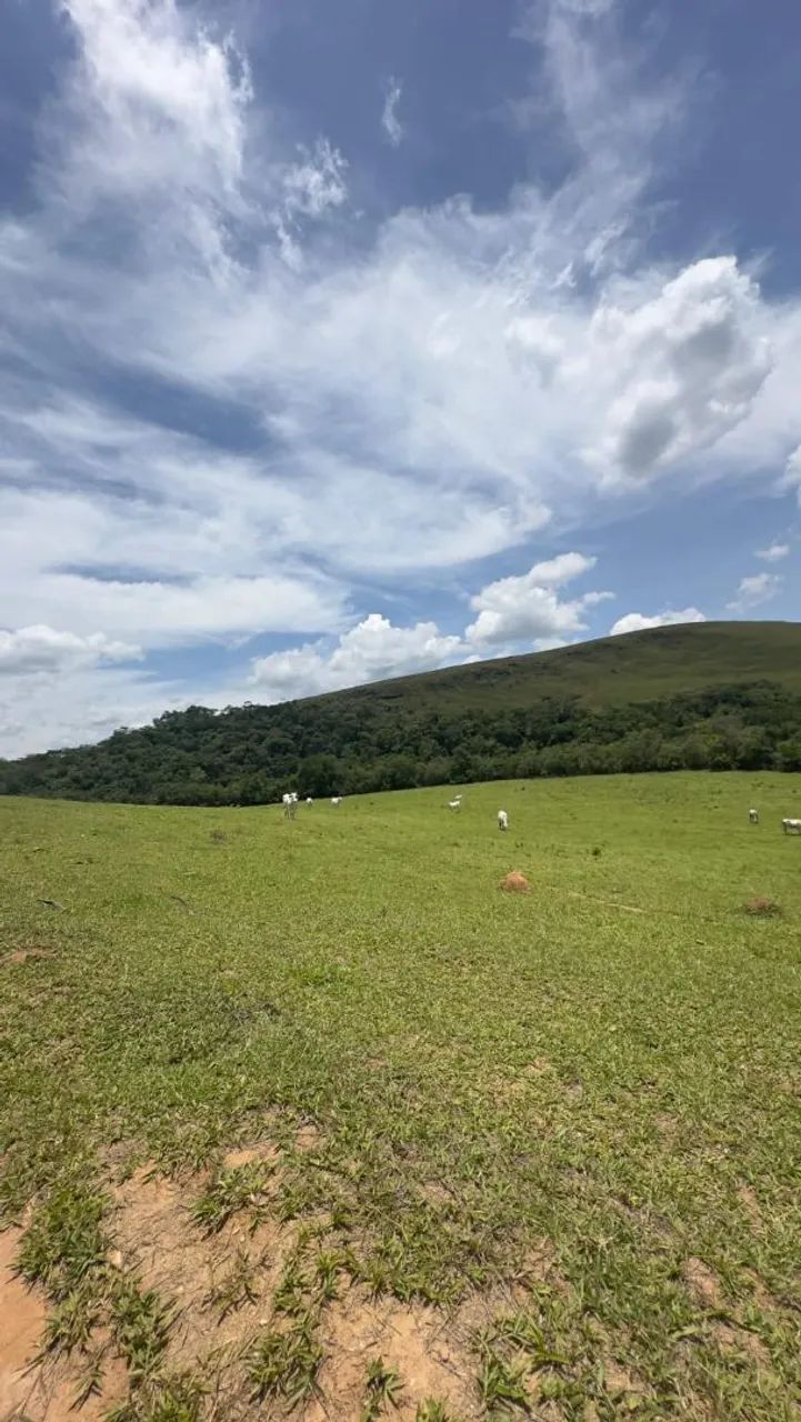 Foto - Bom Jardim de Minas - 