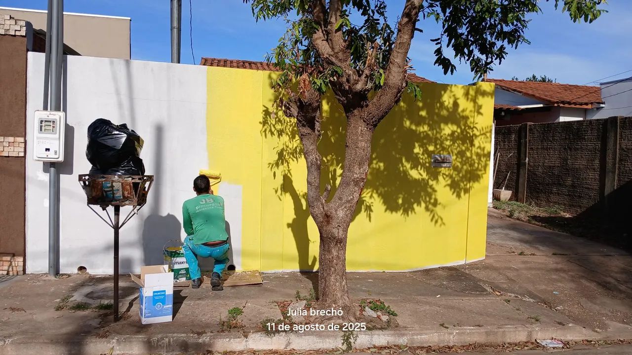 Sou pintor  - Foto 4