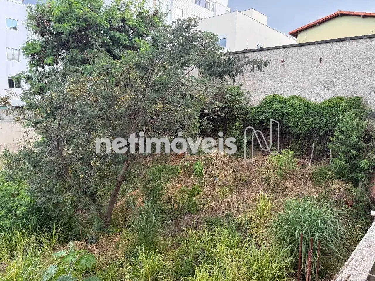 Lote de 420 m²; no Castelo - Foto 3