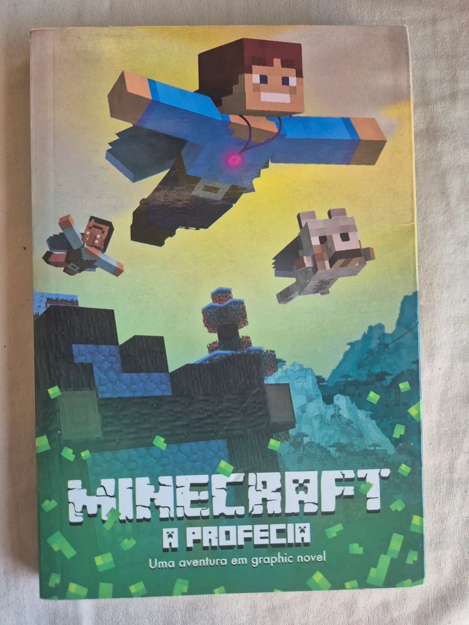  Coleção Minecraft