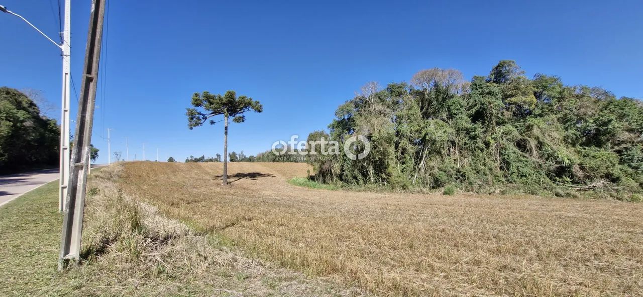Terreno em Araucária - Foto 4