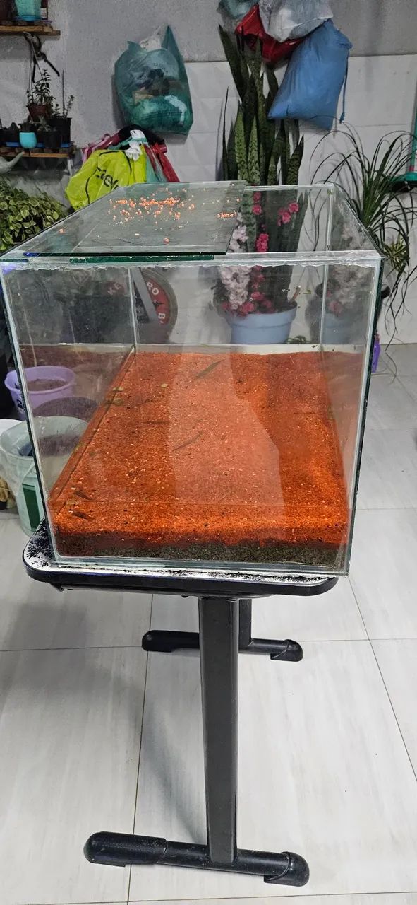 Vendo Aquário de 92 L e um de 42L - Foto 2