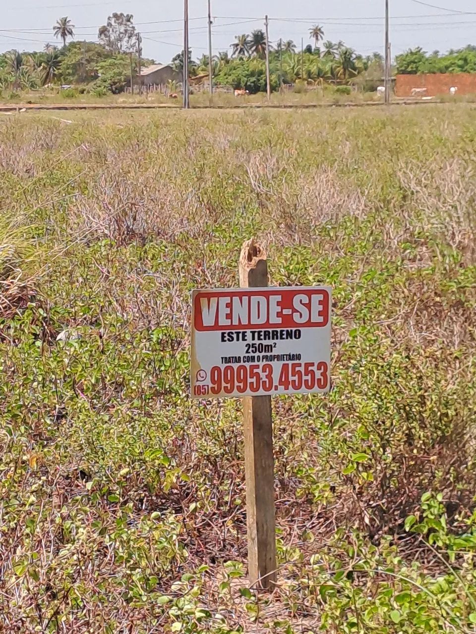 TERRENO 10X25 ESQUINA